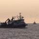 Trawler in the sea is coming back from fishing to Istanbul  - VideoHive Item for Sale