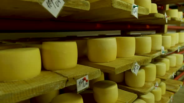 View to the Cheesewheels of Parmesan Maturing on the Shelves at the Cellar of the Cheese Factory alt
