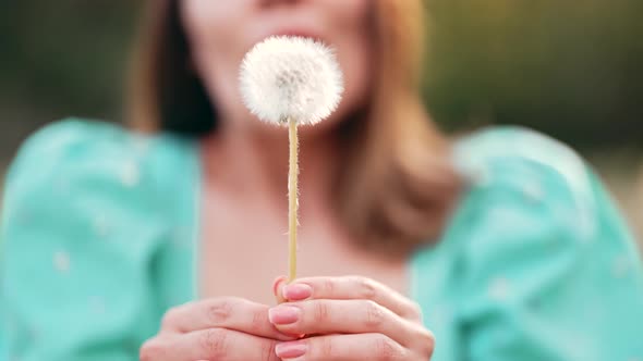 Smiling Woman Beautiful Blowing on Ripened Dandelion in Park alt
