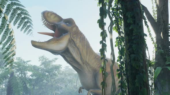 T Rex Tyrannosaurus