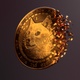 Golden Dogecoin reveals from particles. - VideoHive Item for Sale