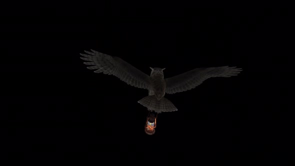 Horned Owl with Lantern Lamp - Flying Loop - Top Back alt