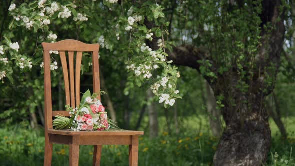 Old Wooden Chair Under The Blooming Apple tree alt