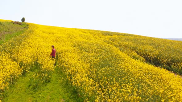 Redhead Caucasian man standing in mustard field 
