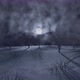 Winter Moonlight - VideoHive Item for Sale