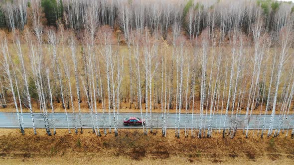 Red Car Moving Through Autumn Forest Along Trees