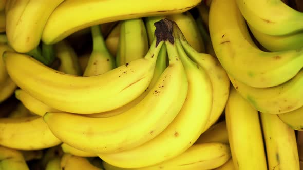 A Lot of Yellow Bananas Closeup Rotating on a  Background in Store for Buyer. alt