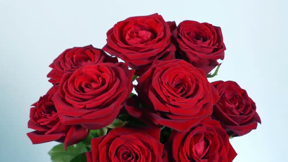 Beautiful Roses On Table Moving Shot alt