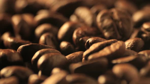 Coffee beans tracking shot studio