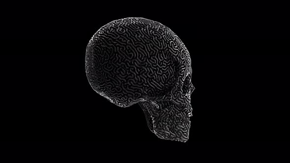 Metal Carved Skull alt