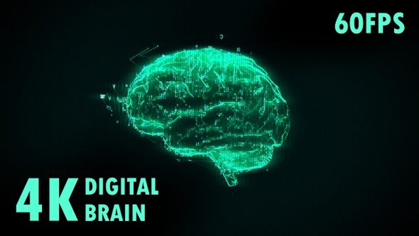 Digital Brain