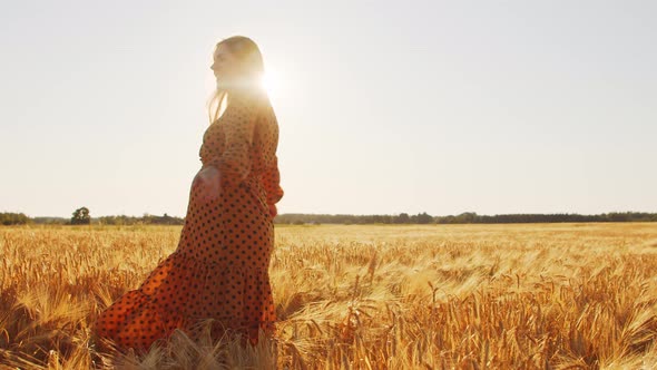 Pregnant woman in the rays of the sunset in the field alt