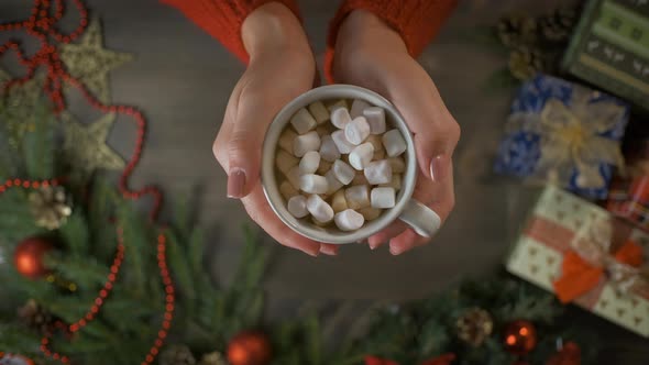 Hot Chocolate with Marshmallows in Female Hands