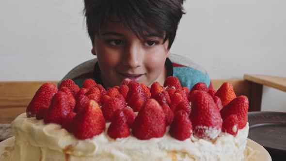 Boy Looks at Cake Decorated with Whipped Cream and Strawberries