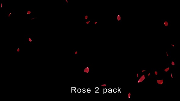Rose 2 Pack 4K alt