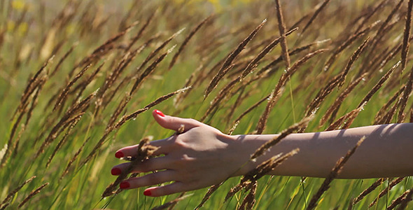 Girl Goes Touching  the Grass Hand