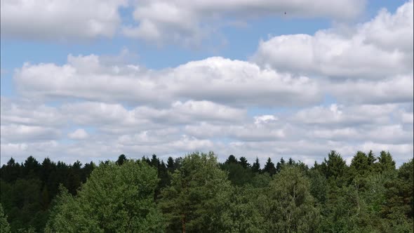 Blue Sky White Clouds. Puffy Fluffy White Clouds. Cumulus Cloud Scape Timelapse. Summer Blue Sky
