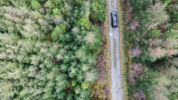 4X4 Pickup Vehicles Driving Through Forest - All Brands Removed alt