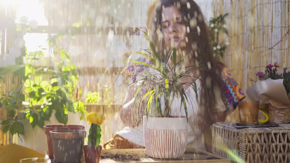 Woman Sprays Small Palm Tree on Terrace