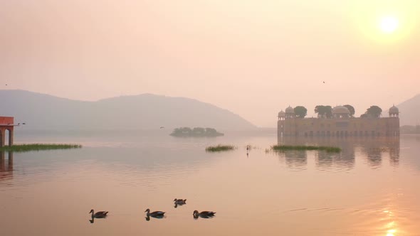 Blissful Morning at Romantic Jal Mahal Water Palace in Jaipur. Rajasthan, India alt