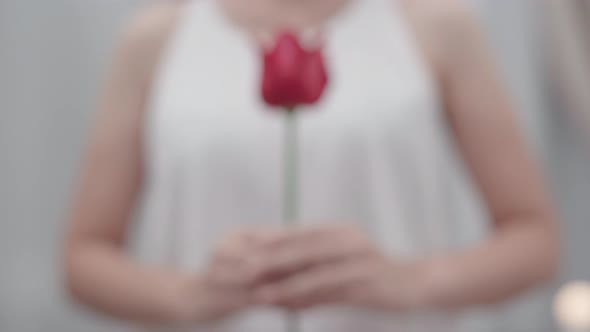 Woman holding flower, single red roses in hand in front of herself