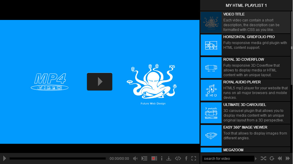 Wordpress video player