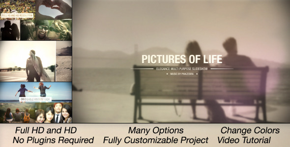 Pictures Of Life - VideoHive 8374942