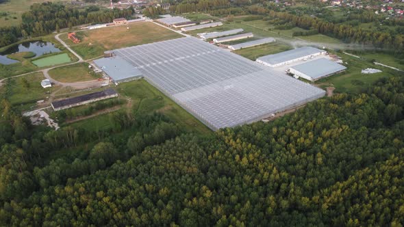 Agricultural Greenhouses