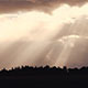 Sun Rays Peek Through Clouds on Country Corn Field - VideoHive Item for Sale