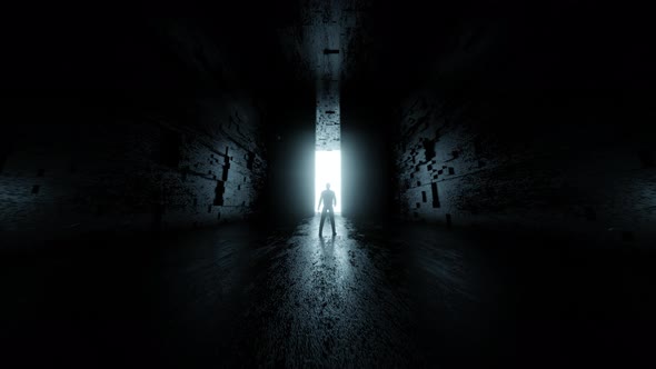 3D rendered visualisation of person standing in front of opening gate alt