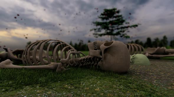 Mass Grave Human Remains