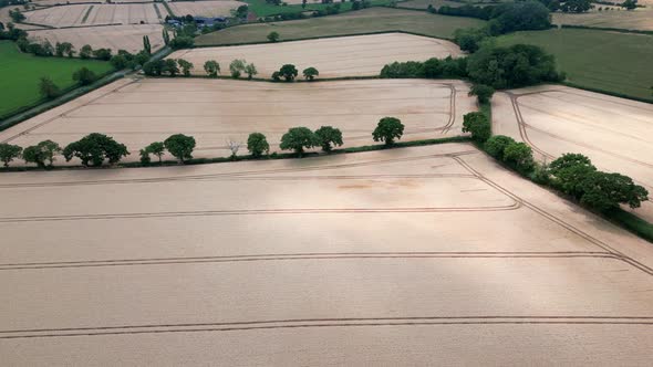 An aerial view of Wheat fields ready for harvest on land in Worcestershire, England. alt