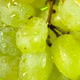 Wet Grapes Brush - VideoHive Item for Sale
