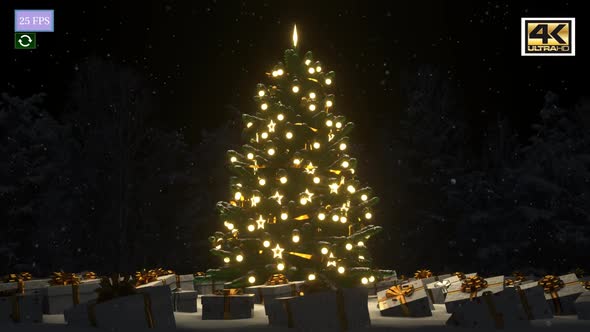 Christmas Tree Animation A7 4K
