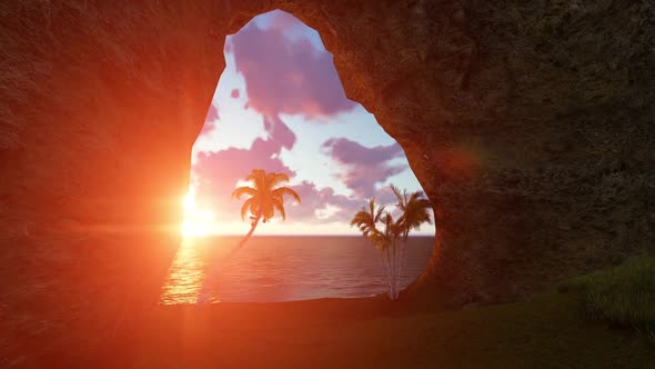 Caves And Palms