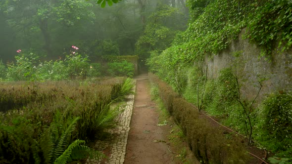 Edge of Pena Park Covered with Mysterious Fog