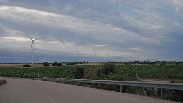 Road Windmills Vineyards and Cloudscape at Dusk