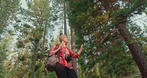 Slow Motion Woman Walking By the Green Forest. Low Angle of Smiling Female,  alt