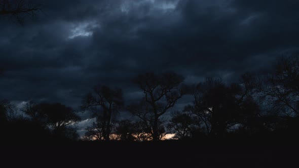 Clouds Flying Over Cottonwood Trees at Sunrise Timelapse Zoom In alt