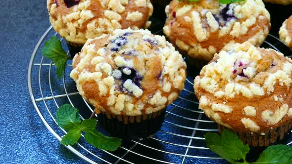 Sweet dessert with blueberry muffin alt