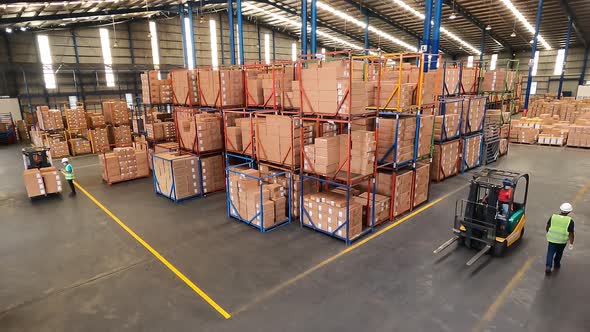 Time Lapse Warehouse Lift Trucks Stacking Boxes