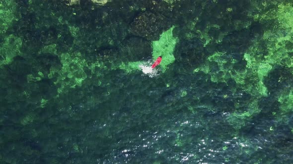 Woman in a Red Long Dress Is Lying on Her Back Bathing in the Green alt