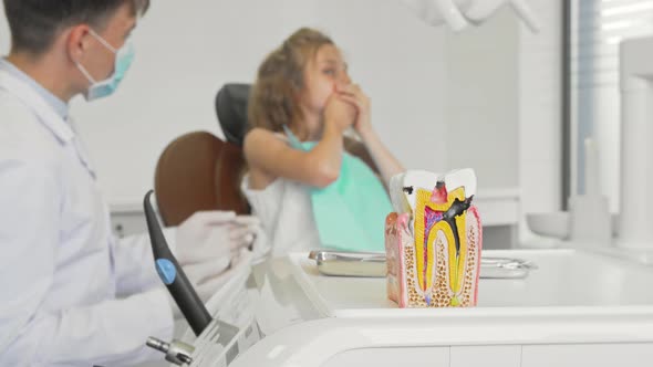Unhealthy Tooth Model on the Foreground Dentist Working with Child