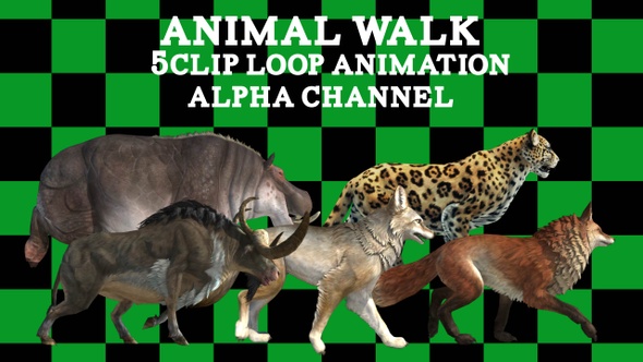 Animal Walk Set 5 Clip