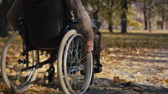 Senior man in a wheelchair on the move in park during the autumn. Shot with RED helium camera in 8K alt