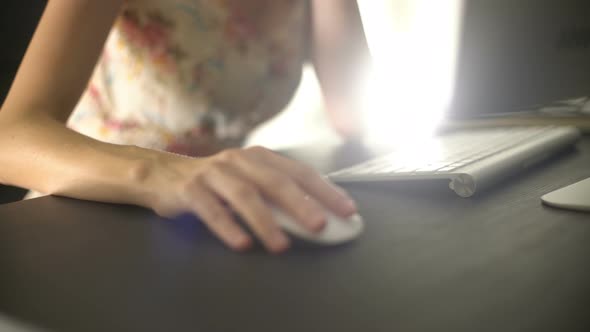 Surfing Internet On Computer alt