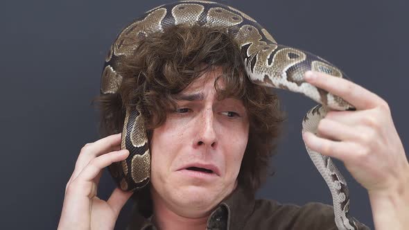 A Snake Crawling on a Man's Head