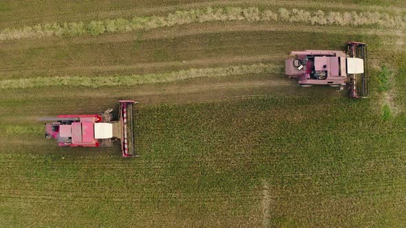 Tractors and Farm Machines Combines Harvesting Crop in Autumn Aerial View