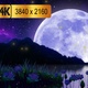 Moonlight Over The Lotus Pond - VideoHive Item for Sale