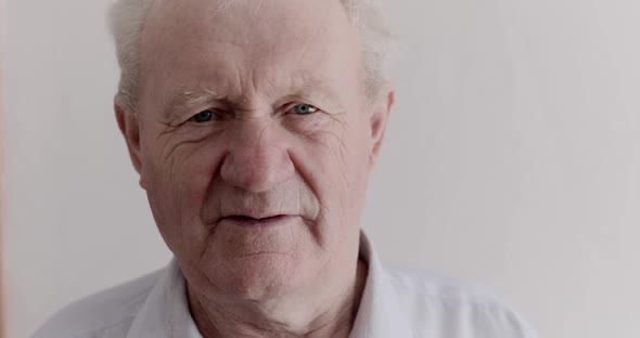Close Portrait of Handsome Senior Man with Gray Hair Looking Into Camera alt